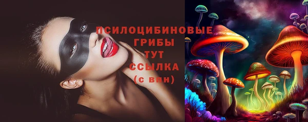 эйфоретик Беломорск