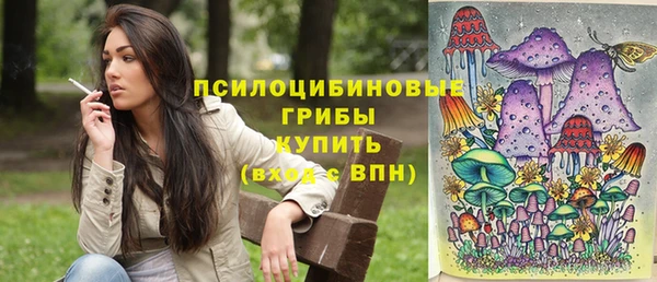 эйфоретик Беломорск