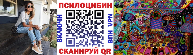 Псилоцибиновые грибы Psilocybe Краснозаводск